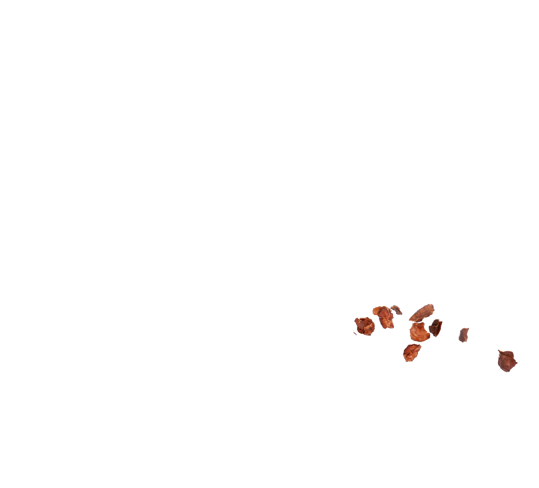 croustillants